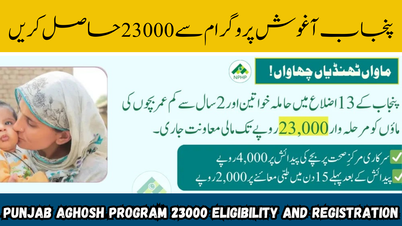 Punjab Aghosh Program 23000 online apply 2025